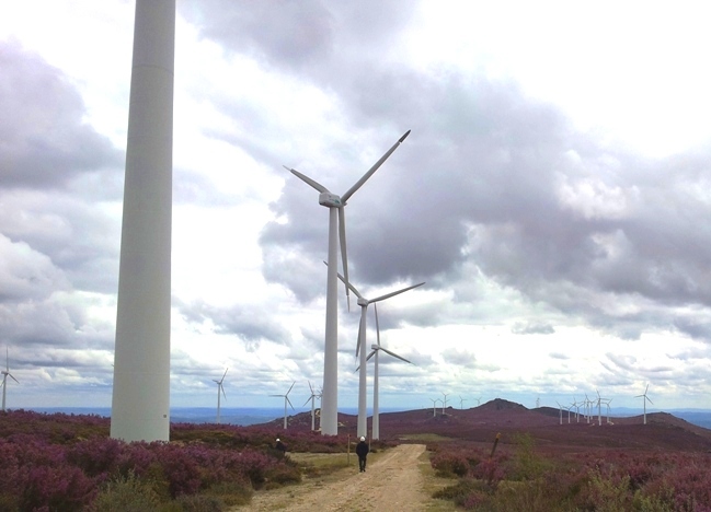 Parque Eolico_Nerea_Requejo de Sanabria