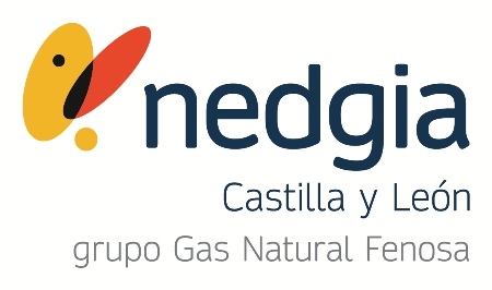 NEDGIAandalucia_v_POS_pantone