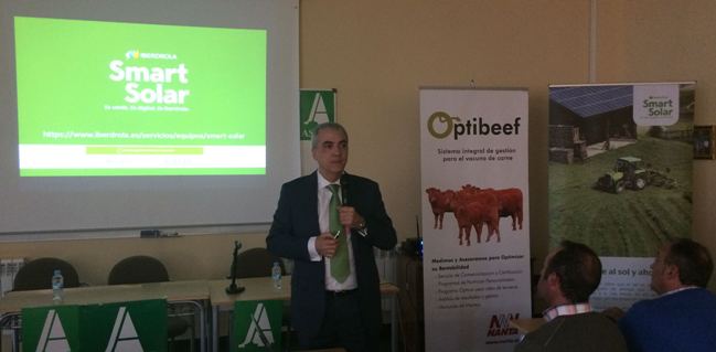 ibedrola ciudad rodrigo